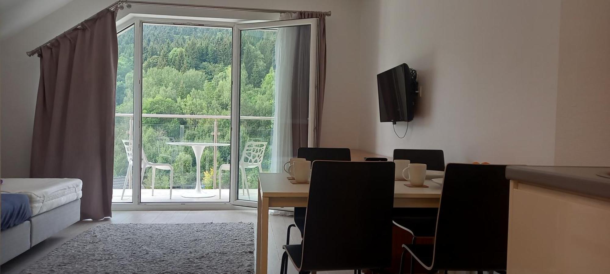 Mountain View Czarna Gora Apartment *